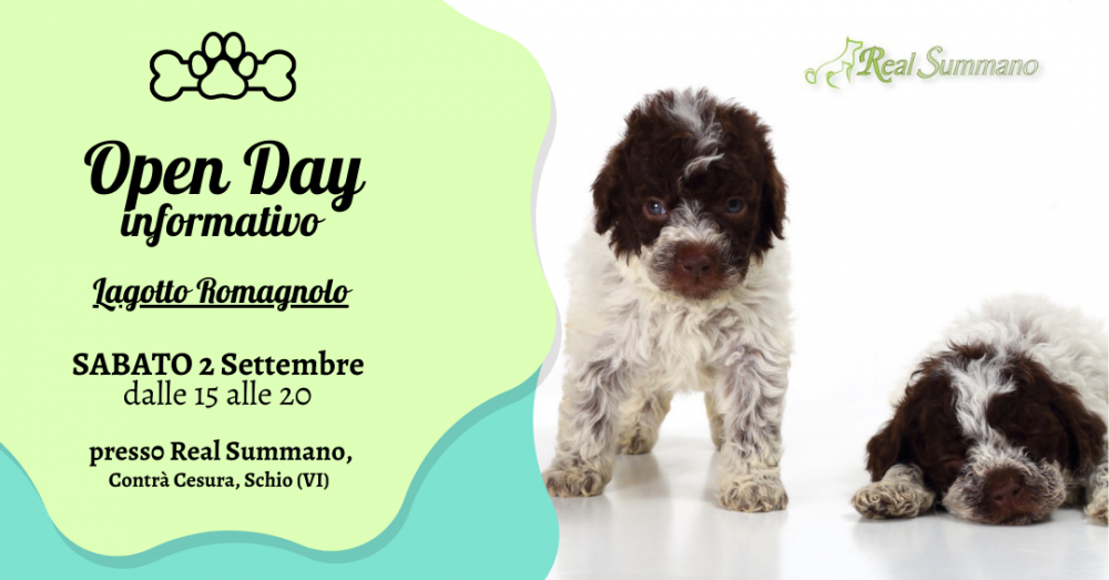 2 Settembre - Nuovo Open Day informativo lagotto romagnolo